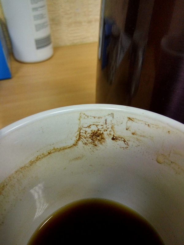 Все любят котиков. Кофе тоже любит котиков.