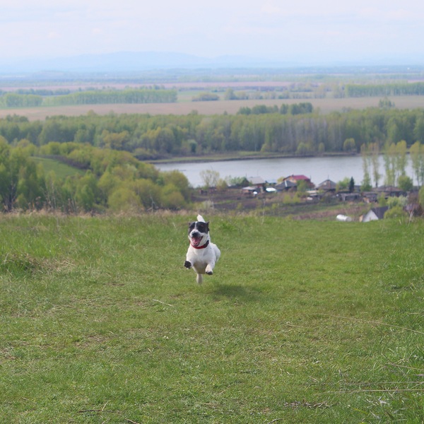 Добрая месть.