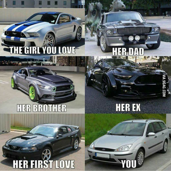 - ... , Ford Focus, 9GAG, Ford Mustang, Shelby
