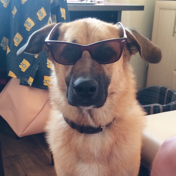 Ошибочка вышла