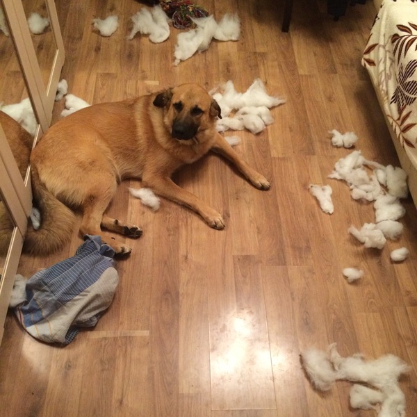 Я очень скучал по тебе, прости