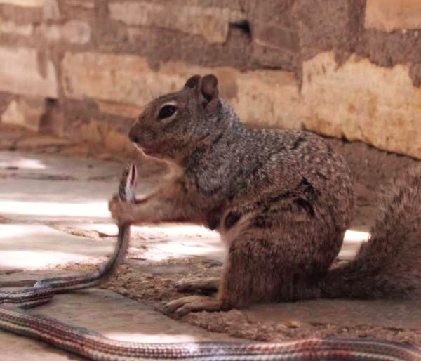 ������� 13 �������!