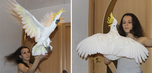 ������ � ���������. ������������� ������