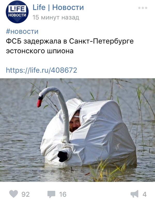 LifeNews    Liferu, 