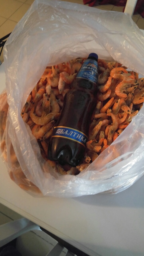 ������� ������� 13