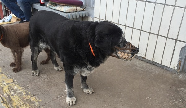 ������-  �������