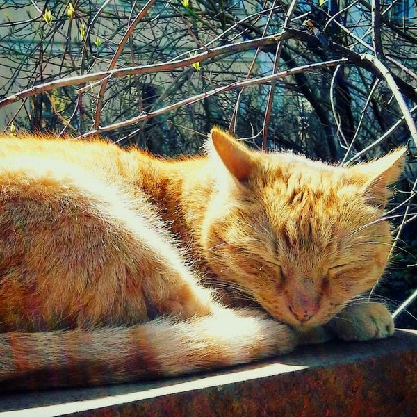 ������ � ��������� ����... ����� ������� �� ������ � ����