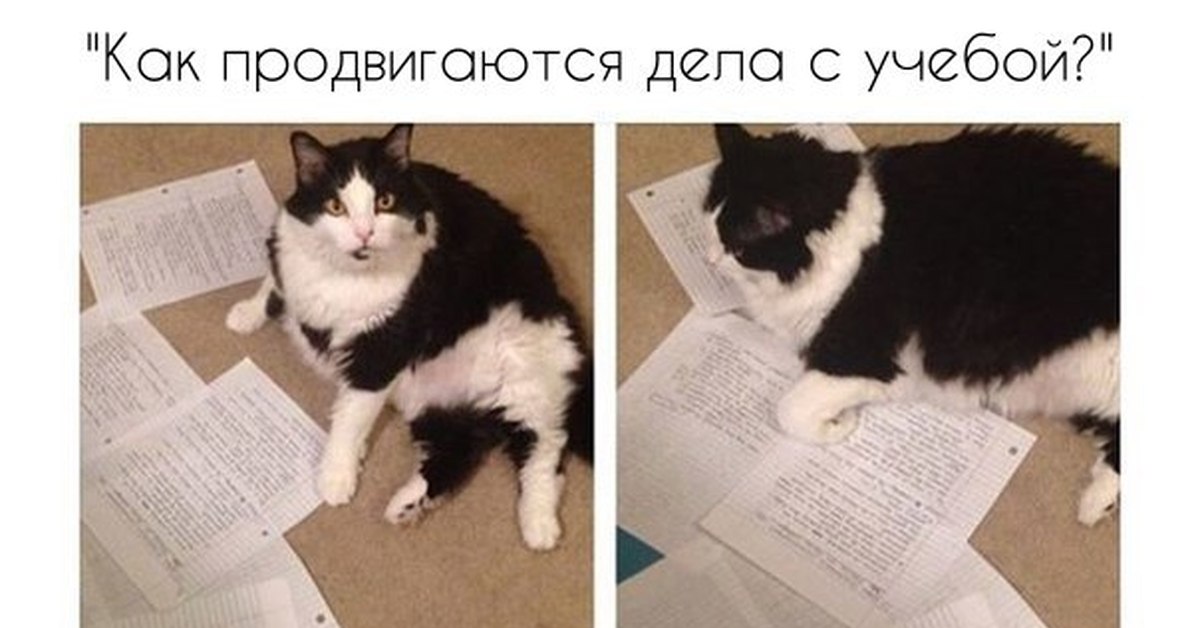 Сегодня пятница. Выводы делайте сами. - Сообщество "Позитивов ☺ зы" на DRIVE2