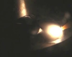    ,  , , 