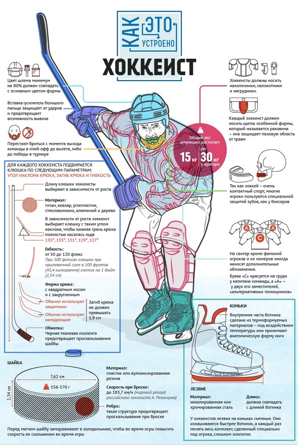 Как устроен хоккеист