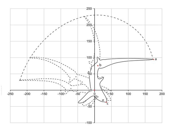 акула у нее хвост такой же длины как все тело. Смотреть фото акула у нее хвост такой же длины как все тело. Смотреть картинку акула у нее хвост такой же длины как все тело. Картинка про акула у нее хвост такой же длины как все тело. Фото акула у нее хвост такой же длины как все тело акула у нее хвост такой же длины как все тело. Смотреть фото акула у нее хвост такой же длины как все тело. Смотреть картинку акула у нее хвост такой же длины как все тело. Картинка про акула у нее хвост такой же длины как все тело. Фото акула у нее хвост такой же длины как все тело