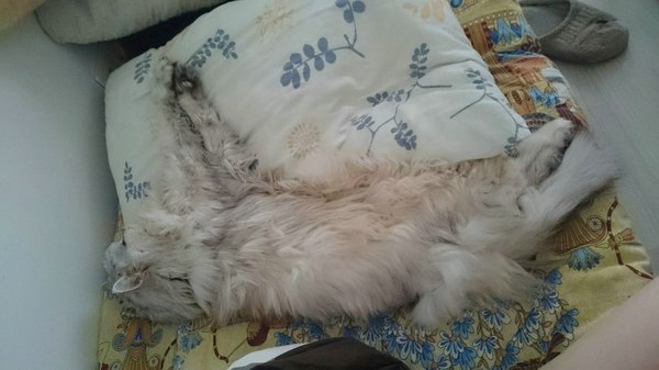 Когда покинул кровать утром на пару минут