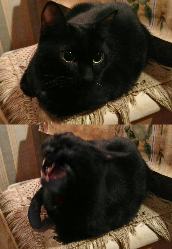 Вселение дьявола за пять секунд