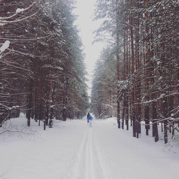 ������ �������� � ��������� �������