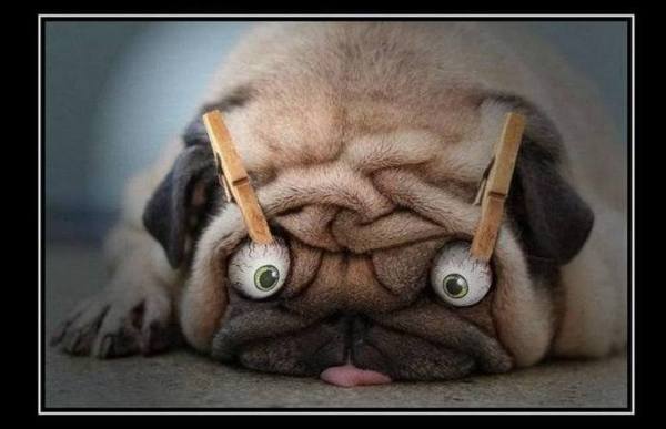 ��� ��� ��� �������� �����������.