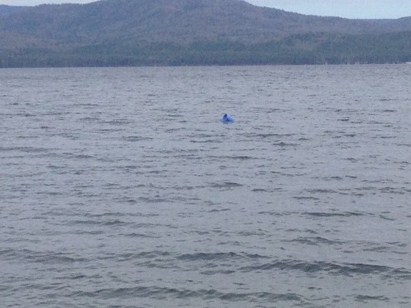 ��...���-�� ��� �� ���.