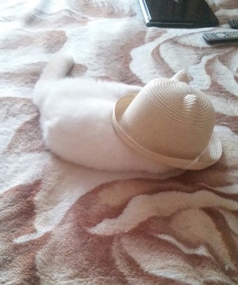 ��� � �����