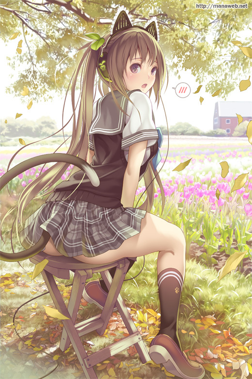 Neko. , Anime Art, Original Character