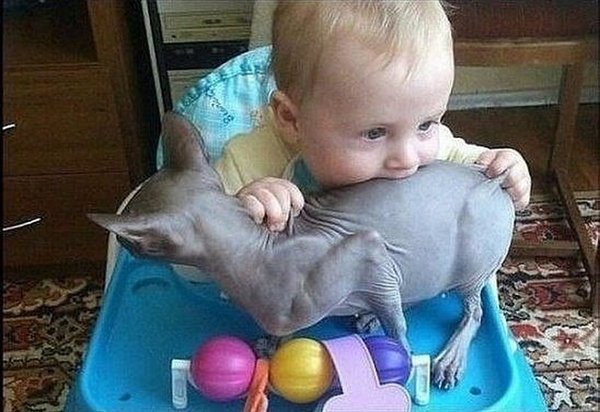 ���������.