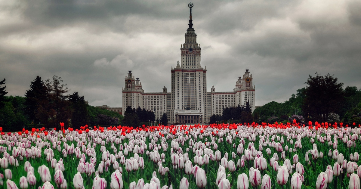 Мгу весной. Москва весной. МГУ И тюльпаны.