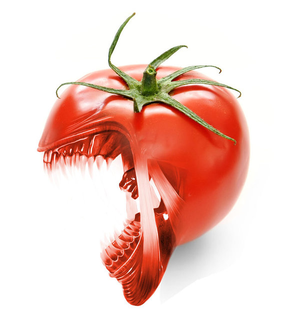 Подидор чужой | Пикабу