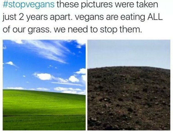     , , Windows, , 