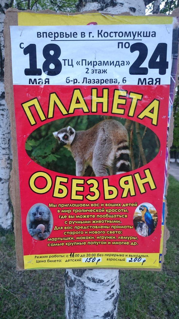 ������� �������