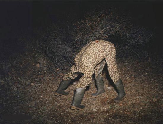 Сказочный ...