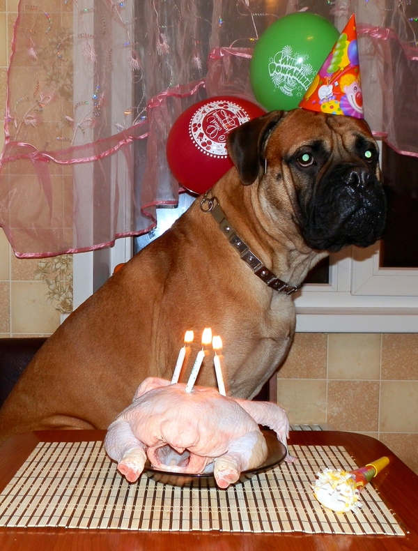 ������ ��� �... ���