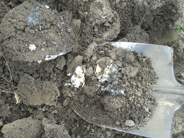 Соседский войны. Тухлые яйца.