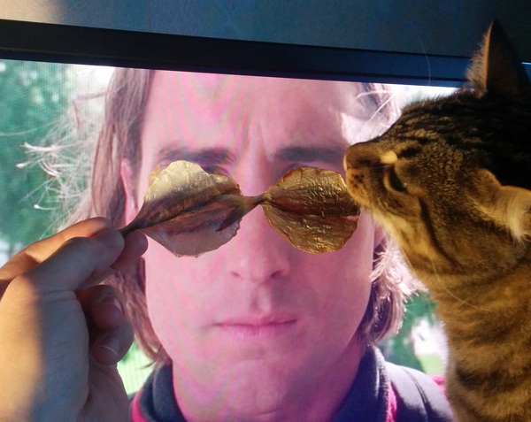 "Эти очки больше подойдут моему желудку"