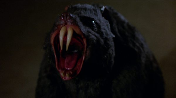 Крысы. Самые ужасные факты о крысах!