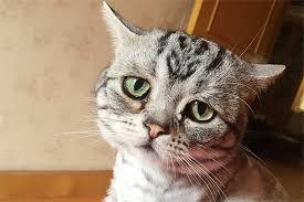 �� �������� ����� ������ ���� � �� �� �����.