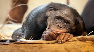 ���� ������� ��������� ������, �� �����������.