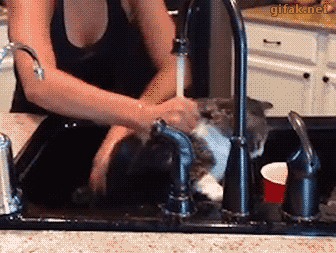 &quot;---!&quot;