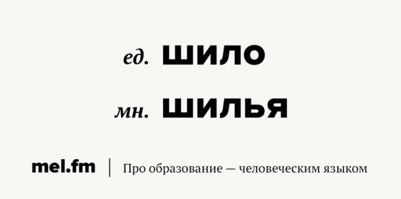 как правильно написать 229