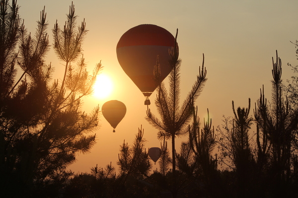 �������-����������. ��������� ��������� �����. ���������� - ��������.