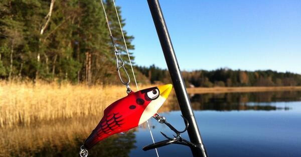Бирд комбо. Воблер Angry Birds. Воблер для рыбалки. Воблер блоггер. Rapala Angry Birds.