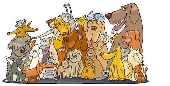 Во имя Диплома, конечно же!