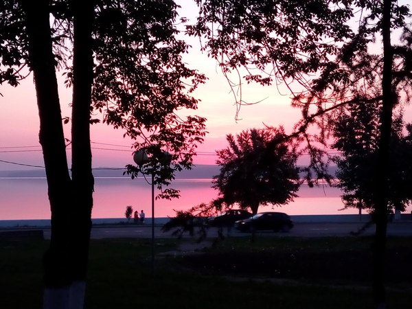 Розовый закат