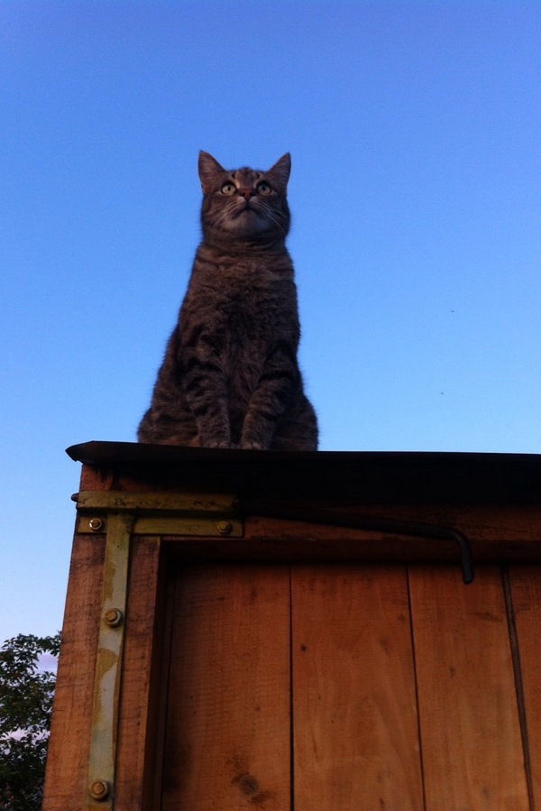 ���� ������� ����� ����� �����!