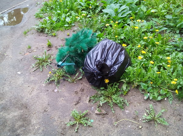 ��� ���� ������ 25,05,2016