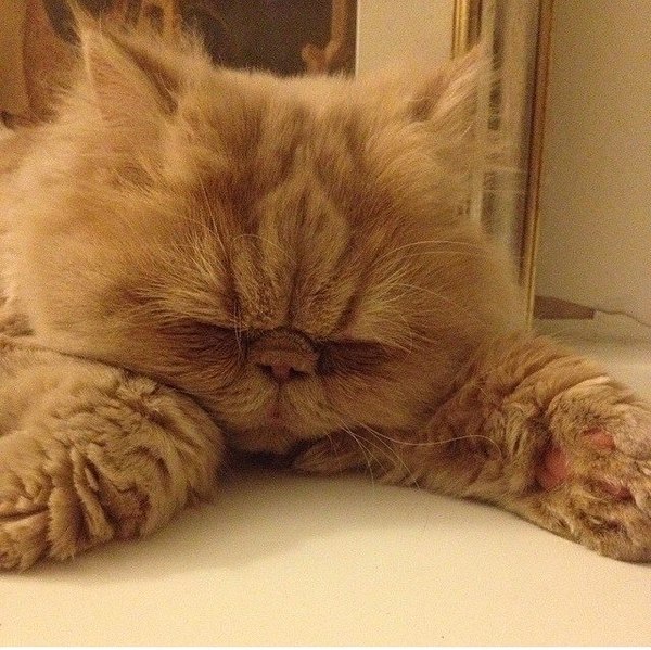 Вечер с пятницы на понедельник иногда хочется проводить только так