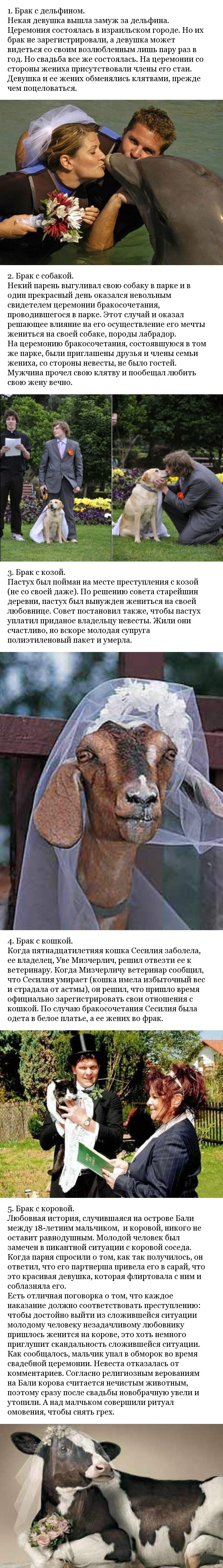 ����� ����� � ��������.