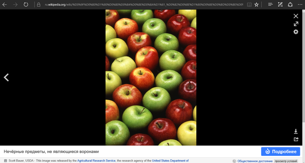 ���� �����, ���