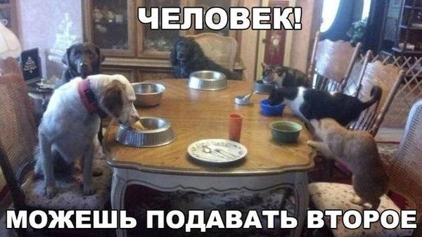 Ох уж  эти аристократы