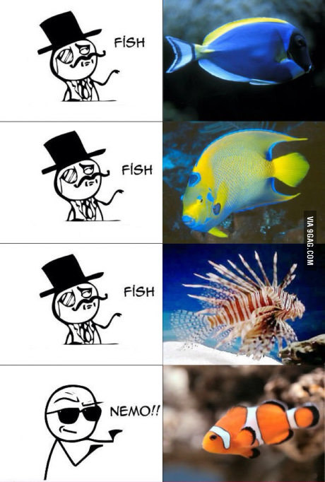 Как парни видят рыбу