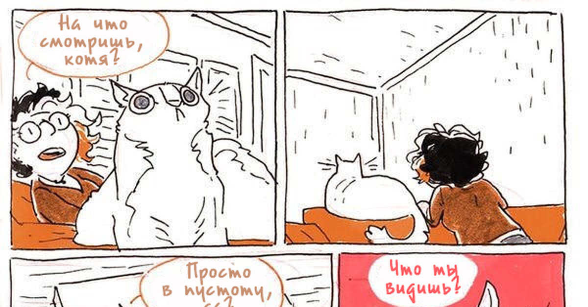 кот уставился в стену. как кошки видят призраков. кот смотрит в пустоту мем. наблюдает прикол. кот смотрит в одну точку.