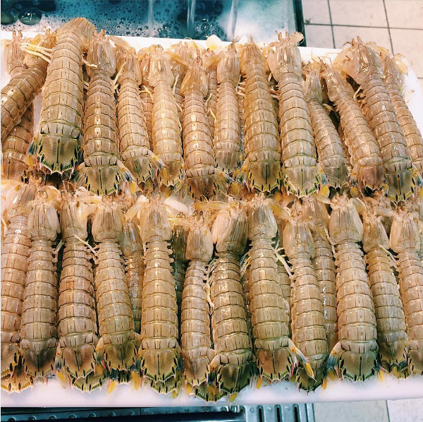     ,   ?        (  ).  - 