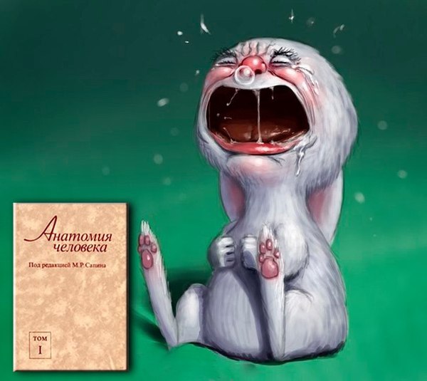 ��� ����� ������������ ��������� �������� ����� � ���� � �������� ��������. ������������ ������ (���), ��� "���".